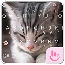ダウンロード TouchPal Cats Keyboard Theme をインストールする 最新 APK ダウンローダ