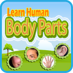 Learn Human Body Parts Apk
