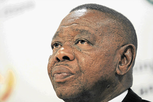 Blade Nzimande Picture: PEGGY NKOMO