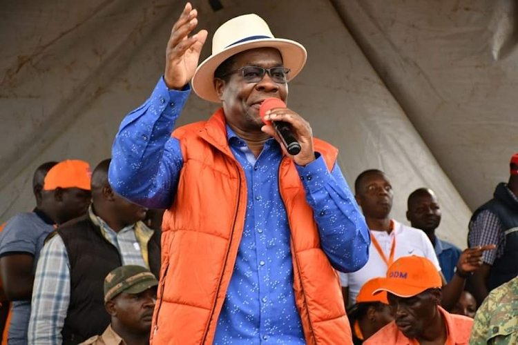 Ugunja MP Opiyo Wandayi speaking at Mamboleo area in Kisumu East Constituency on Friday, April 19, 2024.