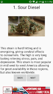 How to download Strains of Weed lastet apk for laptop