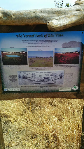 The Vernal Pools of Isla Vista