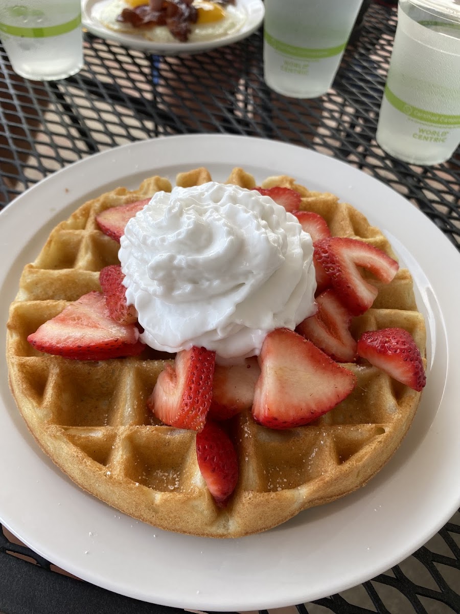 "Buttermilk" Waffle with Organic Strawberries and Vegan Coconut Whipped Cream