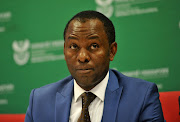 Nedbank's CEO Michael Brown said former mineral resources minister Mosebenzi Zwane slammed banks who refused to attend a meeting with his inter-ministerial committee. 