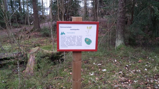 Hannusjärvi Natural Path