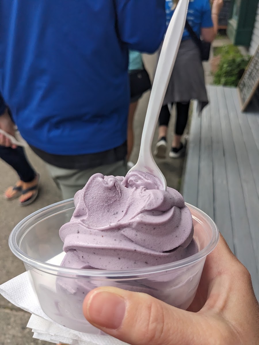 Blueberry soft serve