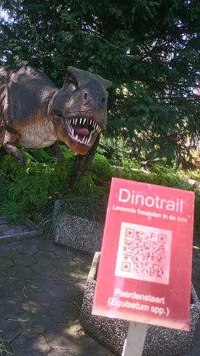 Dinotrail QR