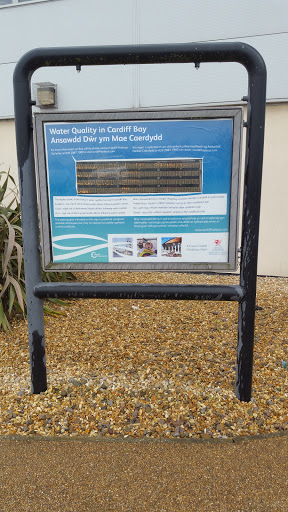 Water Quality In Cardiff Bay Board