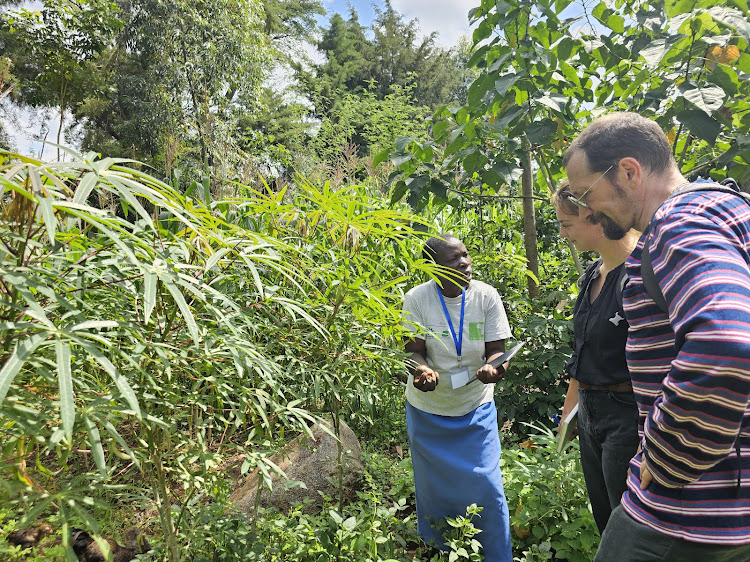 A farmer in Vihiga explains to experts on diverse crops and their uses