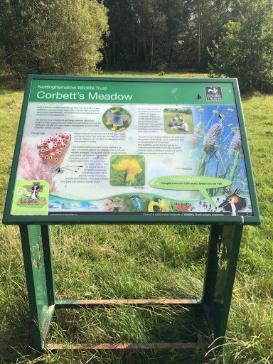 Corbett's Meadow