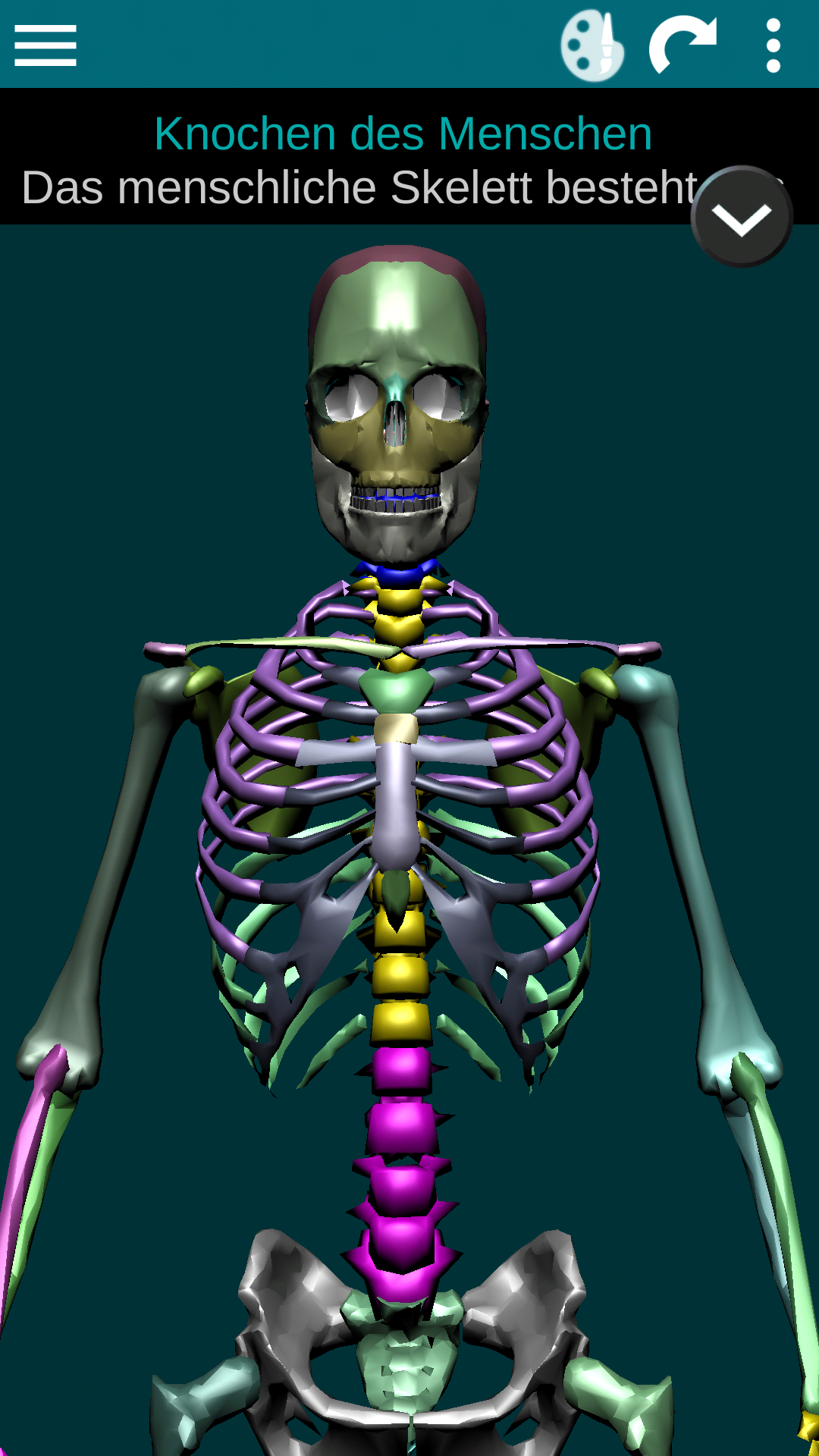 Android application Osseous System in 3D (Anatomy) screenshort