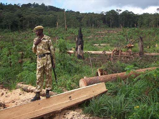 "Experts at the forum said Africa loses an estimated 2.8 million hectares of forests due to deforestation and land degradation."