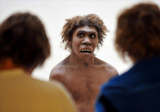 A model representing a Neanderthal man on display at the National Museum of Prehistory. File photo.
