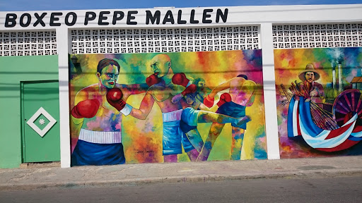 Mural Pepe Mallen