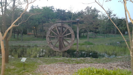 Second Water Wheel