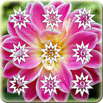 Flower Dialer Theme Apk