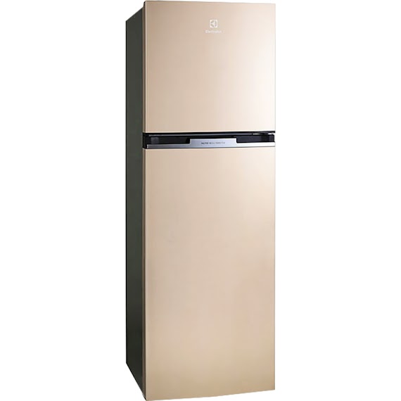 Tủ Lạnh Electrolux Inverter ETB3200GG (317L)