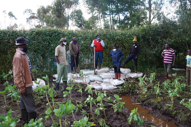 Lari Scheme residents assess the damage on farms by water from a dam in neighbouring Githirioni