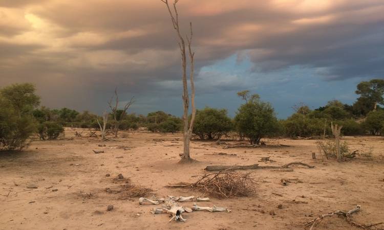 A desolate scene in the private Linyati Wildlife Reserve