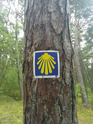Pomorska Droga Św. Jakuba - Logo na drzewie