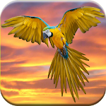 Bird Sounds Free Apk