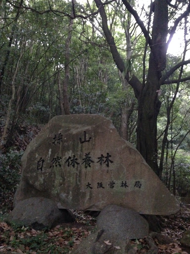 操山 自然休養林