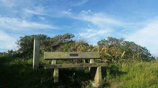 Piebe Kooistra Bench