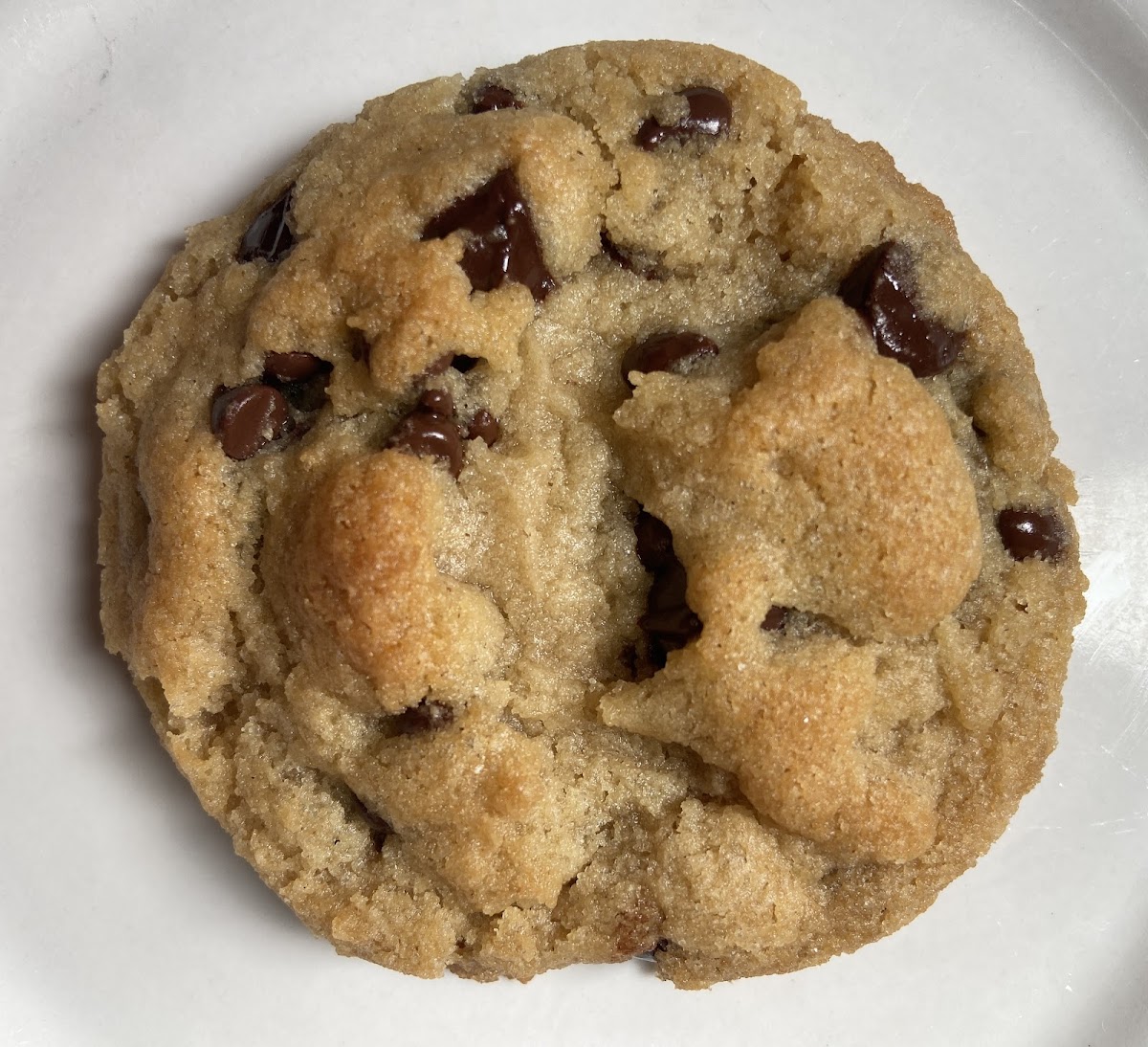 Chocolate chip cookie perfection - no top 9 allergen ingredients, gluten free and vegan