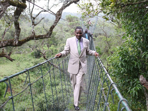 KING OF THE JUNGLE: Meru Governor Peter Munya on the canopy walkway above the Ngare Ndare Forest on January 21.