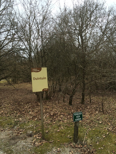 Dune garden Meijendel