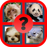 Guess the Celebrity: Animal Apk