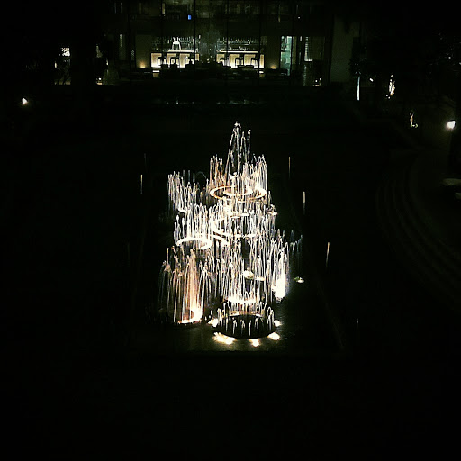 Fountain at Vivanta