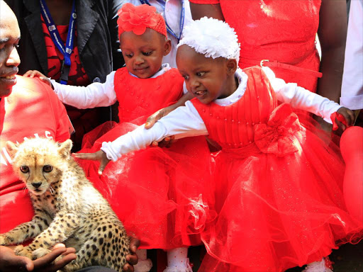 Separated twins Favour Karimi (L) and Blessing Kathure admire Cheetah Cubs at the KWS the animal orphanage where they were taken for valentine on February 14, 2017. Photo/Monicah Mwangi