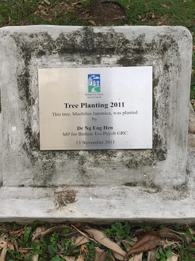 Tree Planting 2011