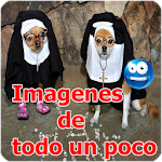 Imagenes de todo un poco Apk