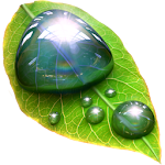 Droplets Apk