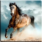 Horses Video Live Wallpaper Apk