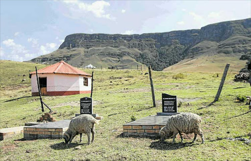 NGCOBO TRAGEDY: Sheep graze near the graves of three members of the Mzuku family, who were hacked to death by their relatives after they had been accused of ‘witchcraft’ Picture: LULAMILE FENI