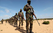 Somalia's al Shabaab