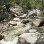 Beauty of the mountain stream Apk
