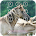 Horse Keypad Lock Screen