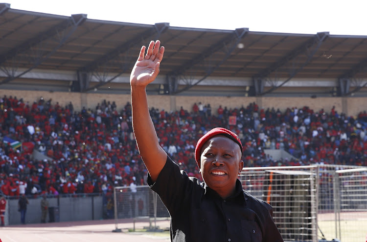 EFF leader Julius Malema wants unemployed graduates to be given stipends more than the R350 the government is giving to those without jobs or any income.