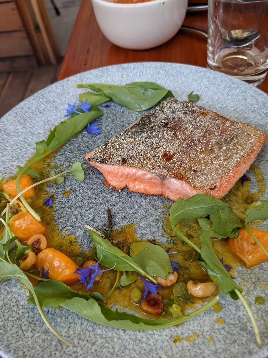 Red trout with mandarin sauce and hazelnuts