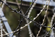 barbed wire close up Picture credit: iStock