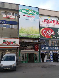 Torunoğlu