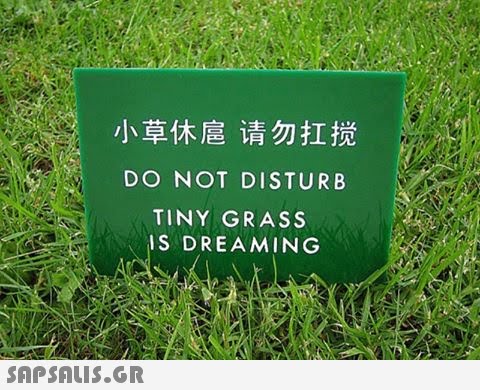 DO NOT DISTURB TINY GRASS IS DREAMING