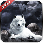 Wolf Pack 2 HD Wallpaper Apk