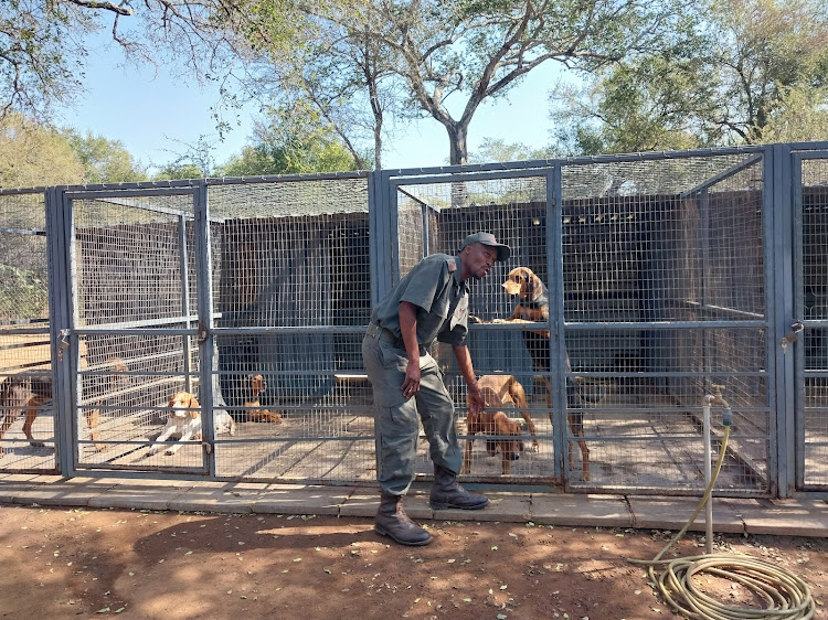 Pleasure Mathebula from Southern African Wildlife College which trains some of the K9 Unit dogs and works with SANParks.