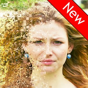pixel art photo editor by orizadroid.apk 1.0