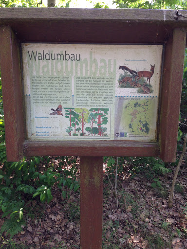 Waldumbau Wesendorf 